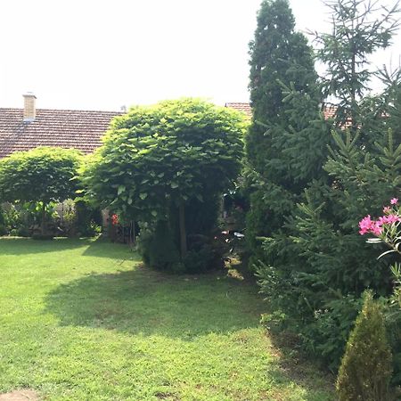 Villa Nirvana Palic Ngoại thất bức ảnh