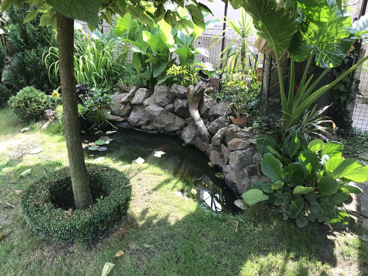 Villa Nirvana Palic Ngoại thất bức ảnh