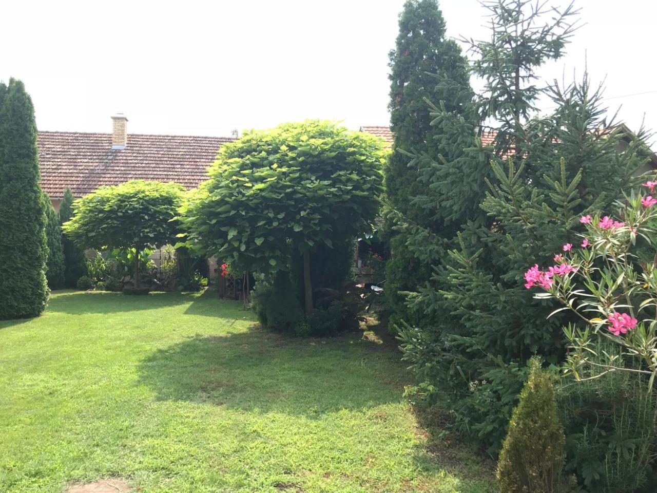 Villa Nirvana Palic Ngoại thất bức ảnh