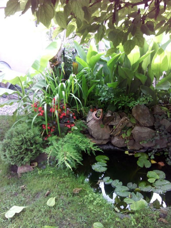 Villa Nirvana Palic Ngoại thất bức ảnh