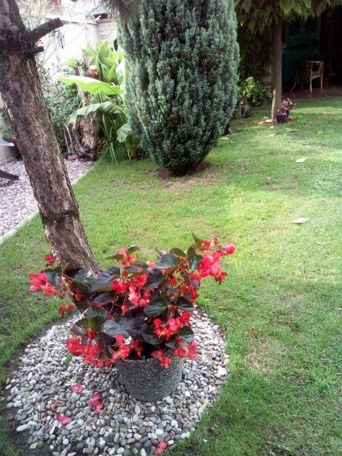 Villa Nirvana Palic Ngoại thất bức ảnh